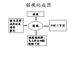 幼兒斜眼看人|小兒斜弱視